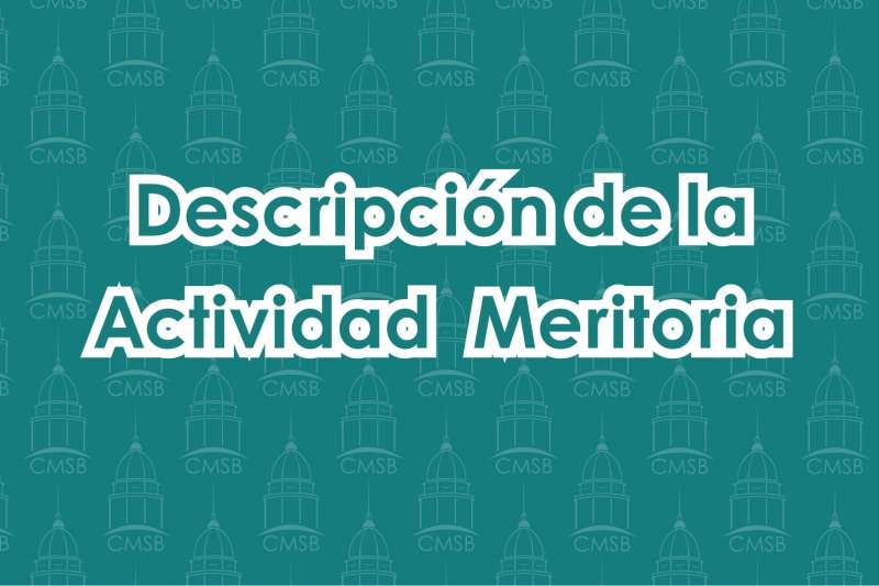 Descripción de la Actividad Meritoria