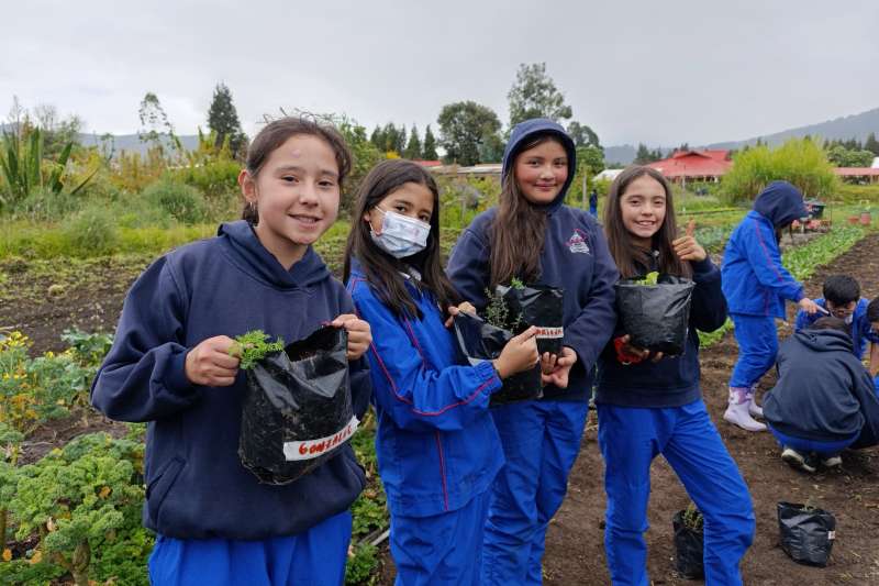 Cultivando Respeto y Gratitud por Nuestros Campesinos